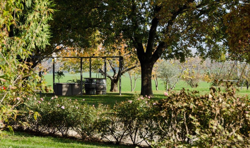 فيلا سان لاتْسارو دي سافينفي Podere San Giuliano المظهر الخارجي الصورة
